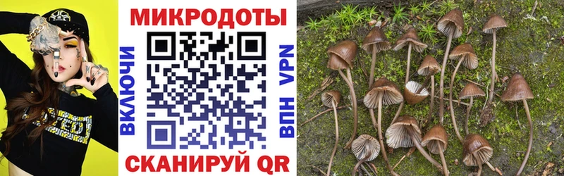 Галлюциногенные грибы MAGIC MUSHROOMS где найти Спасск-Рязанский